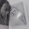 Picture of Figure Drawings (Victoria and Albert Museum, Small Picture Books, No. 13)
