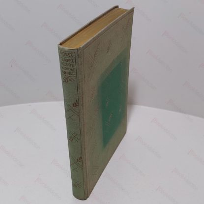 Picture of Tempel, Palaste Und Dschungel : India Journey