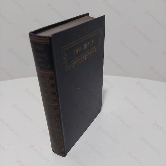 Picture of Tono Bungay