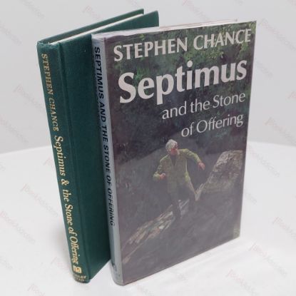 Picture of Septimus and the Stone of Offering