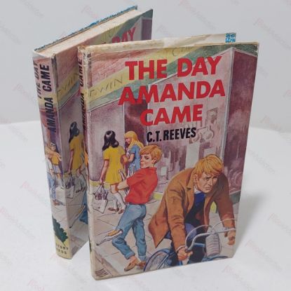 Picture of The Day Amanda Came