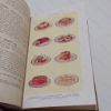 Picture of Mrs Beeton's Book of Household Management: A Guide to Cookery in All Branches : New Edition, Revised, Enlarged, Brought Up to Date and Fully Illustrated.