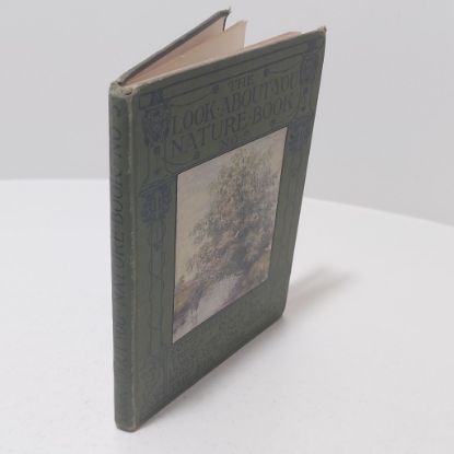 Picture of Some British Forest Trees (The Look About You Nature Study Books,  Book V)