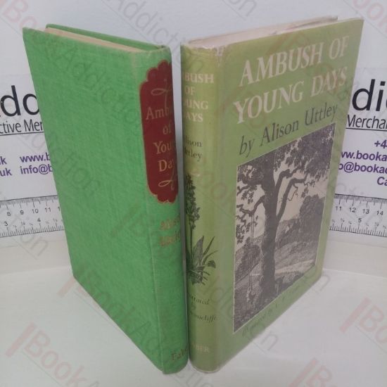 Picture of Ambush of Young Days