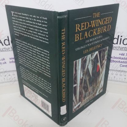 Picture of The Red-Winged Blackbird: The Biology of a Strongly Polygynous Songbird