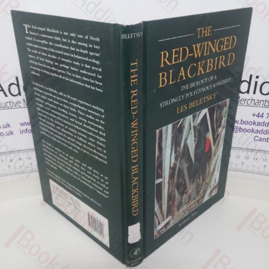 Picture of The Red-Winged Blackbird: The Biology of a Strongly Polygynous Songbird