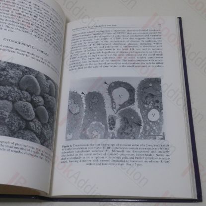 Picture of Medical and Environmental Aspects of Anaerobes (Proceedings of the Seventh Biennial International Symposium of the Society for Anaerobic Microbiology, held at Churchill College, University of Cambridge, 18-20 July 1991)