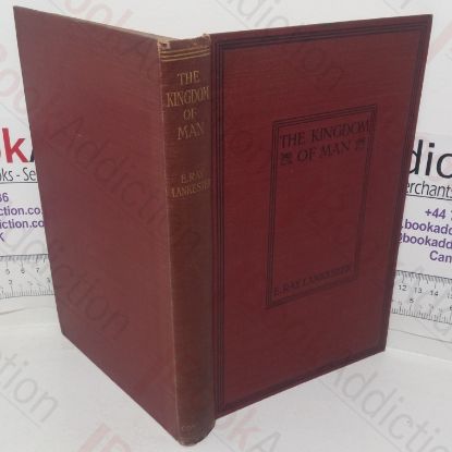 Picture of The Kingdom of Man