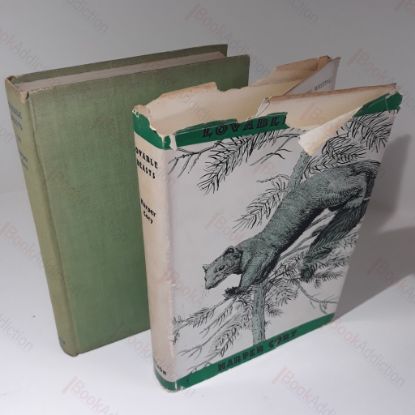 Picture of Lovable Beasts