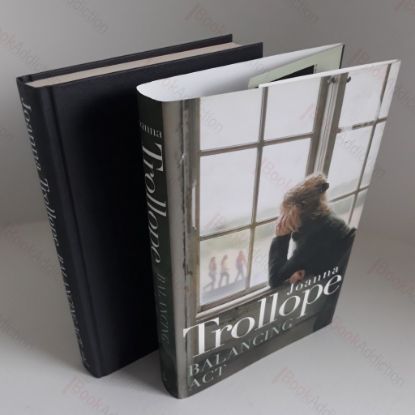 Picture of Balancing Act