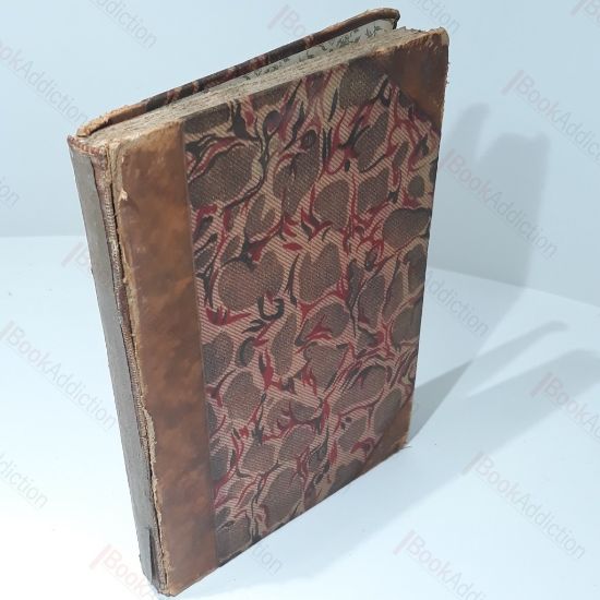 Picture of Irene Iddlesleigh