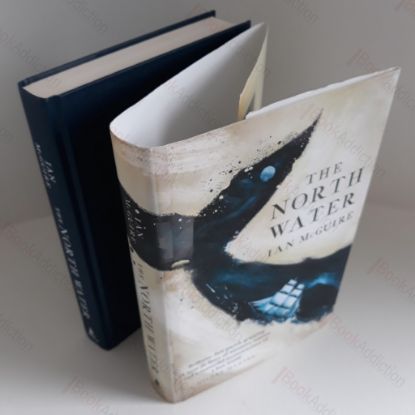 Picture of The North Water