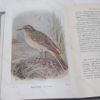 Picture of The Birds of the British Isles,  Third Series Comprising Their Migration and Habits and Observations on our Rarer Visitants