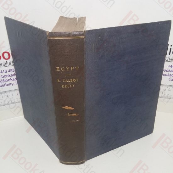 Picture of Egypt: Painted and Described