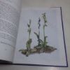 Picture of Flower Artists of Kew: Botanical Paintings by Contemporary Artists