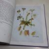 Picture of Flower Artists of Kew: Botanical Paintings by Contemporary Artists