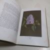 Picture of Pastel Work: Flowers, Volume II