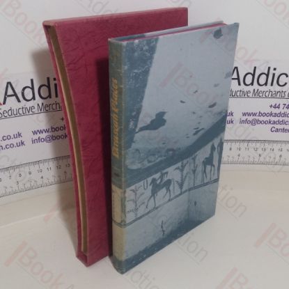 Picture of Etruscan Places