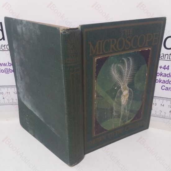 Picture of The Microscope, shown to the Children