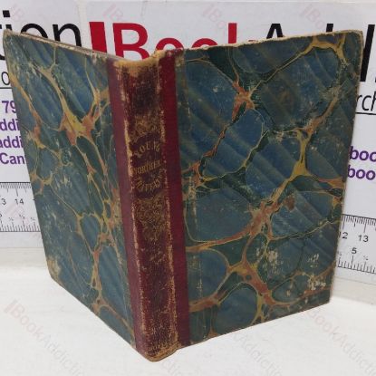 Picture of The Young Northern Traveller; Or the Invalid Restored, Containing A Tour Through Northern Europe, with Historical and Biographical Anecdotes