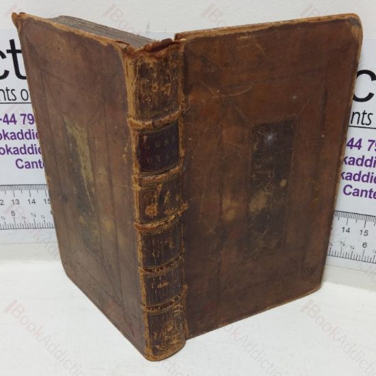 Picture of The Guardian, Volume I