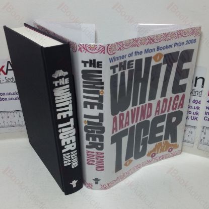 Picture of White Tiger