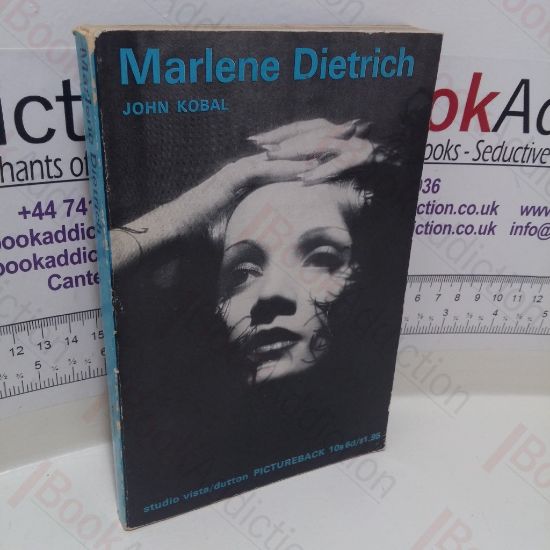 Picture of Marlene Dietrich