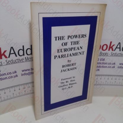 Picture of The Powers of The European Parliament