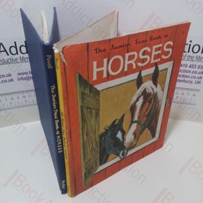Picture of The Junior True Book of Horses
