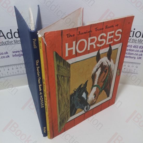 Picture of The Junior True Book of Horses