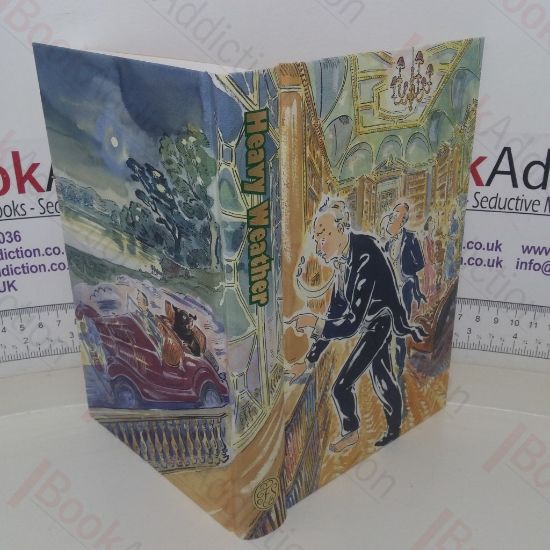 Picture of Heavy Weather