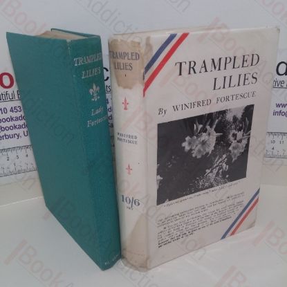 Picture of Trampled Lilies