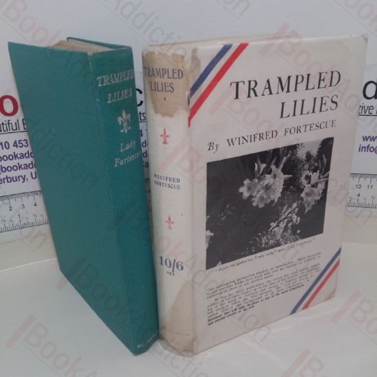 Picture of Trampled Lilies