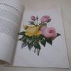 Picture of Illustrated Treasury of Cultivated Flowers