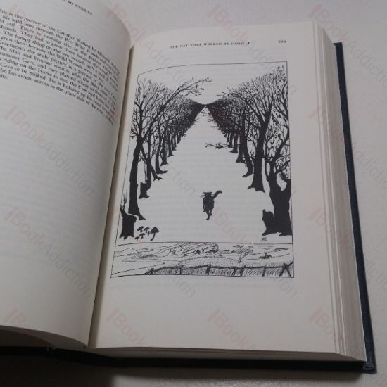 Picture of Rudyard Kipling (The Oxford Authors series)