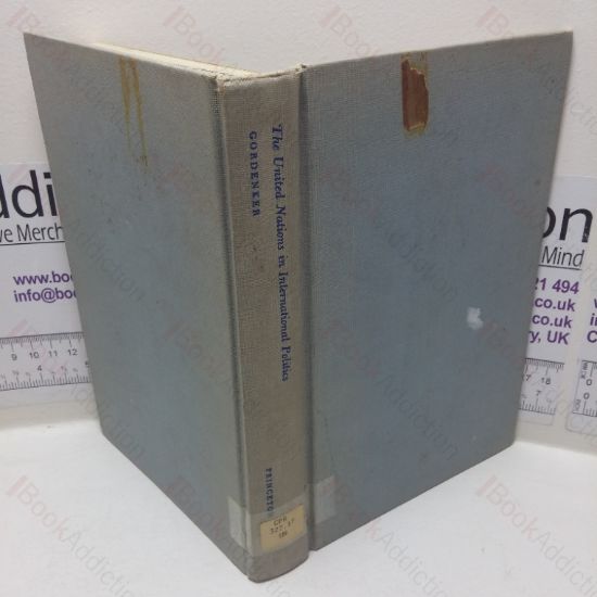 Picture of The United Nations in International Politics