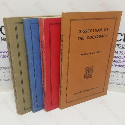 Picture of Dissection of the Frog; Dissection of Rabbits; Dissection of Dogfish; Dissection of the Cockroach