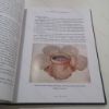 Picture of This Infant Adventure : Offspring of the Royal Gardens at Kew (Signed)