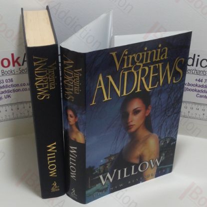 Picture of Willow (The De Beers Family)