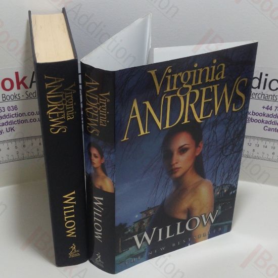 Picture of Willow (The De Beers Family)