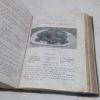 Picture of Katharine Mellish's Cookery and Domestic Management, Including Economic and Middle Class Practical Cookery