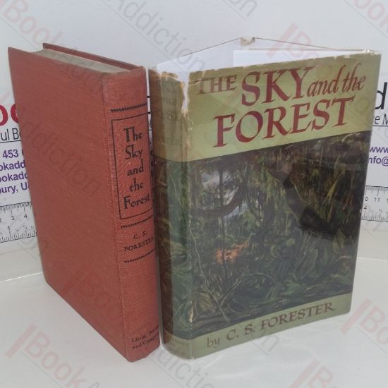 Picture of The Sky and the Forest