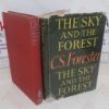 Picture of The Sky and the Forest