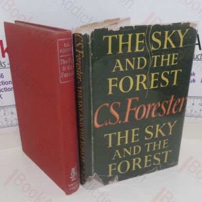 Picture of The Sky and the Forest