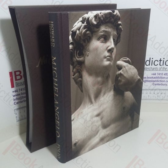 Picture of Michaelangelo