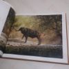 Picture of African Wildlife in Art: Master Painters of the Wilderness