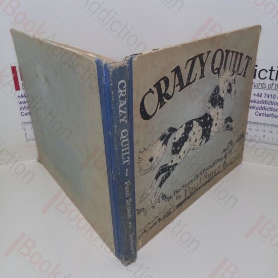 Picture of Crazy Quilt: The Story of a Piebald Pony