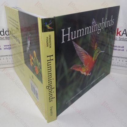 Picture of Hummingbirds