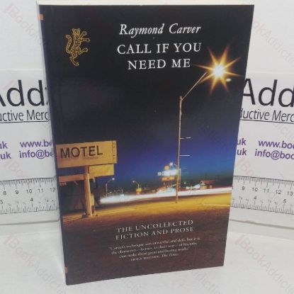 Picture of Call If You Need Me: The Uncollected Fiction and Prose