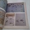 Picture of Arizona Highways : The Birds of Arizona : August 1964, Volume XL, No 8